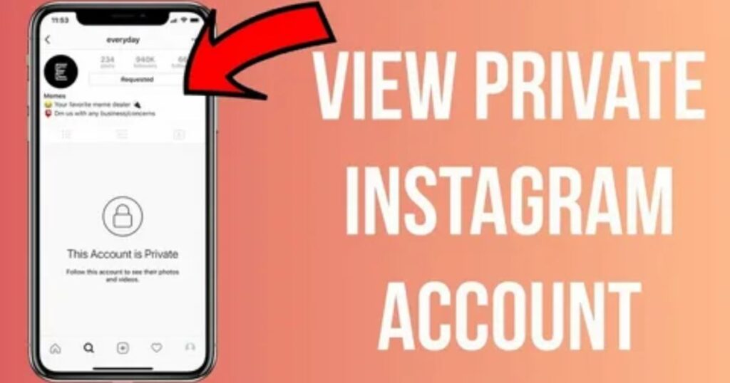 Follow Trends Privately with Instagram Story Viewer